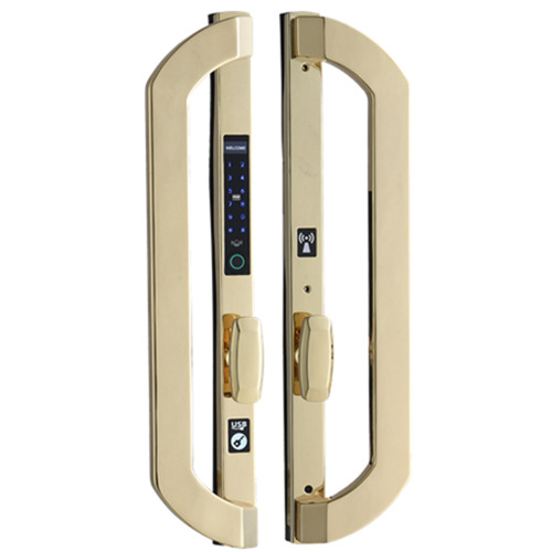 stainless steel lock for outdoors gate X55 Satin Gold