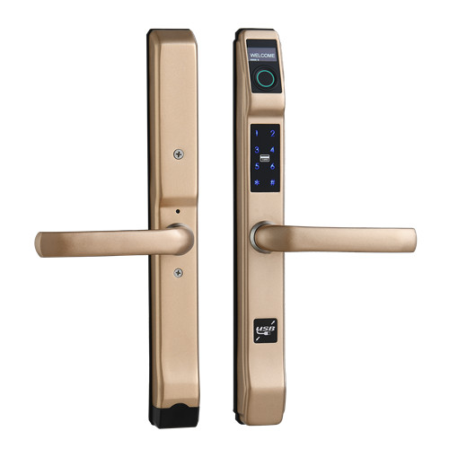 concise fingerprint lock X8 Satin Gold