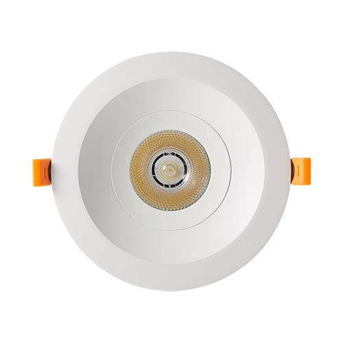 low cost DC12V AC110V 220V LED down light